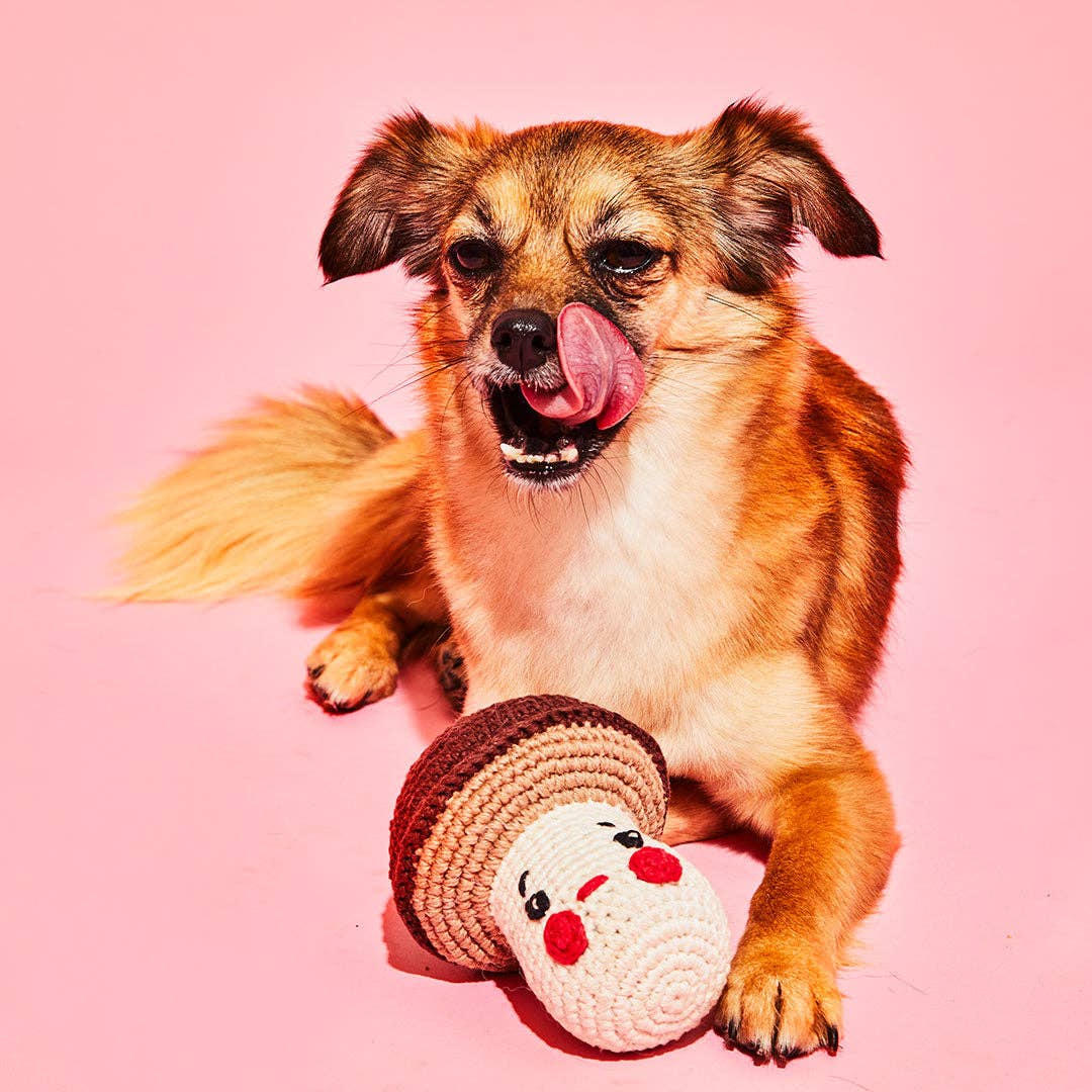 Cotton Crochet Mushroom Dog Toy