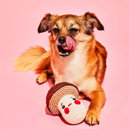 Cotton Crochet Mushroom Dog Toy