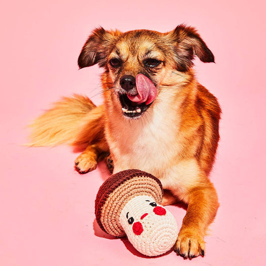 Cotton Crochet Mushroom Dog Toy by Ware of the Dog
