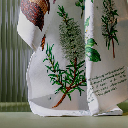 Koala Eco - Tea Towel - Terra Botanica