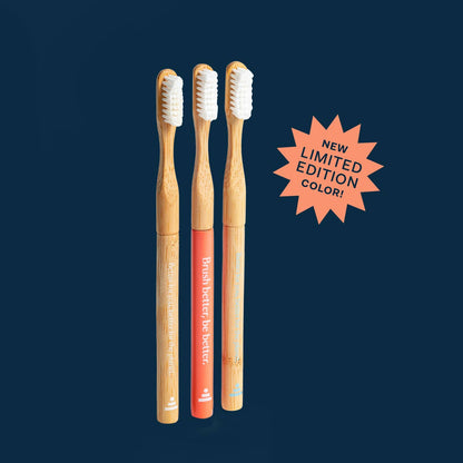 Natural Bamboo Toothbrush