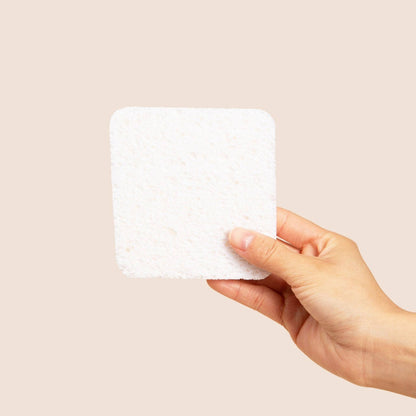 Plastno - Soak Sponge (3 Sponges)