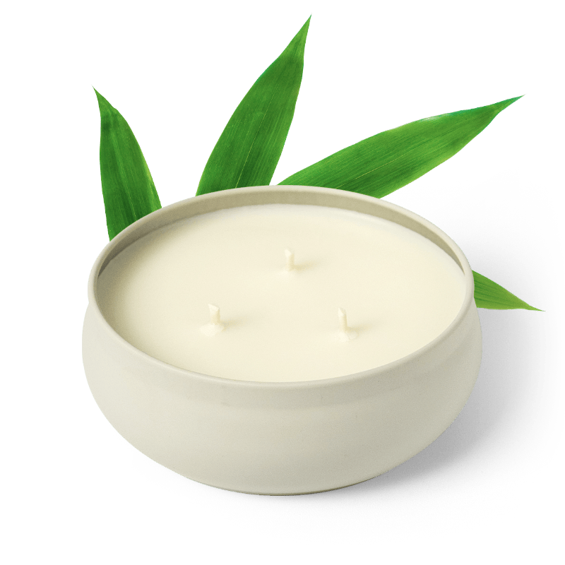 Bamboo 3-Wick Candle by Grow Fragrance