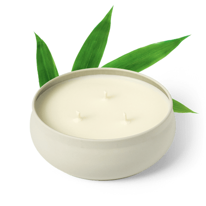 Bamboo 3-Wick Candle by Grow Fragrance