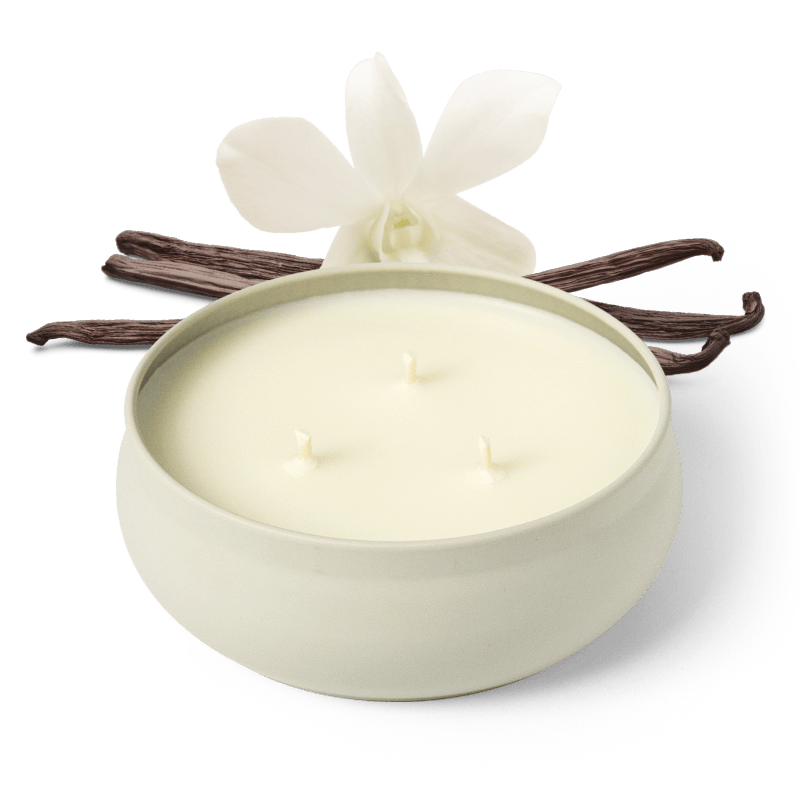 Blondewood 3-Wick Candle by Grow Fragrance