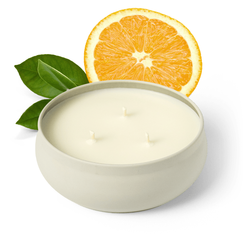 Golden Grove 3-Wick Candle by Grow Fragrance