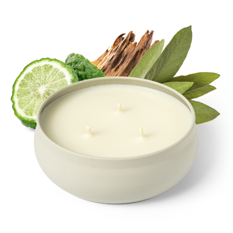 Pacific Driftwood 3-Wick Candle by Grow Fragrance
