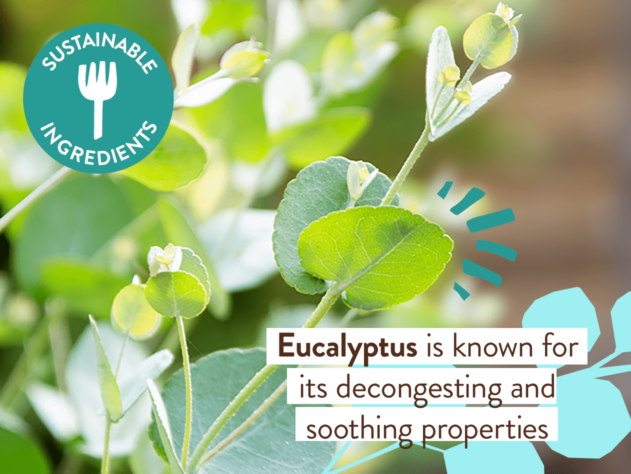 Babo Botanicals - Eucalyptus Remedy Organic Soothing Chest Rub
