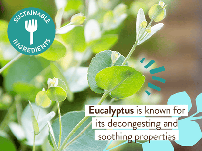Babo Botanicals - Eucalyptus Remedy Organic Soothing Chest Rub