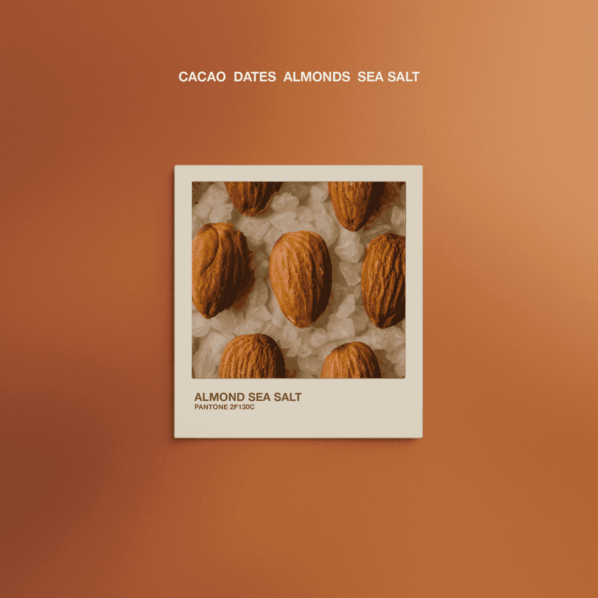 Date Sweetened Dark Chocolate - Almond Sea Salt