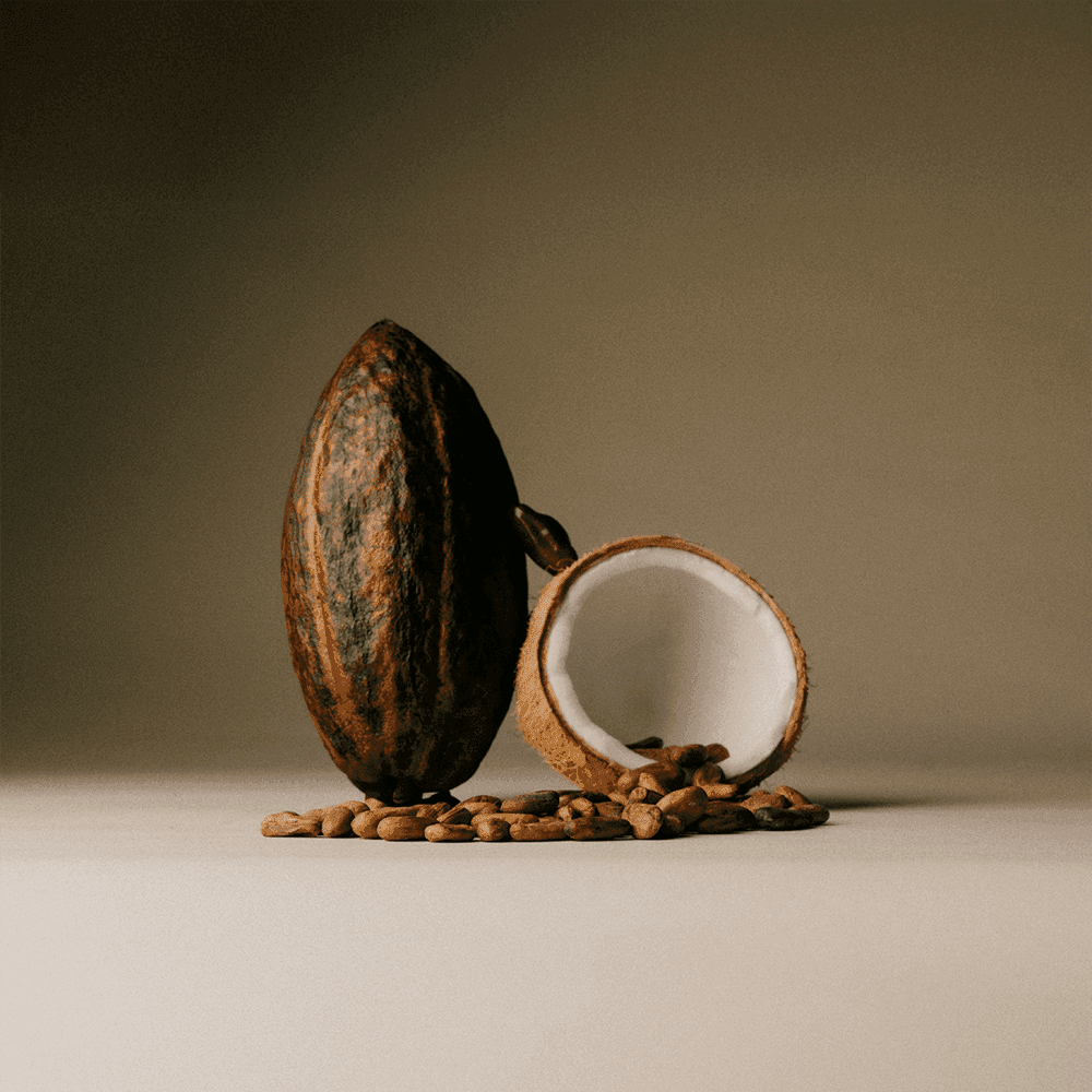 Date Sweetened Dark Chocolate - Toasted Coconut Flakes
