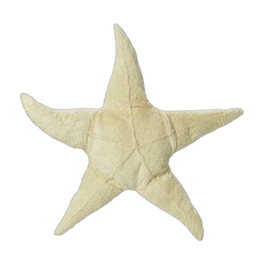 Cuddly Starfish - Small by Senger-Naturwelt