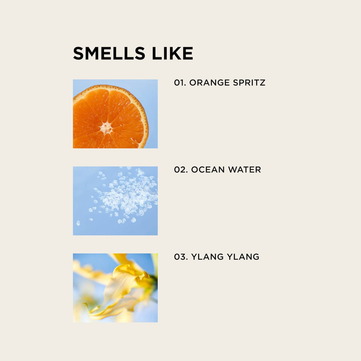 By Rosie Jane - BEACH BABY body + hair perfume mist