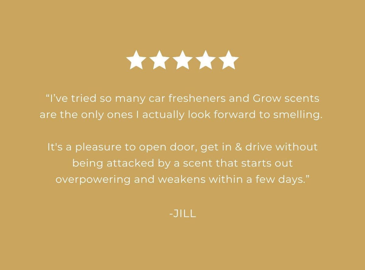 Grow Fragrance - Blondewood Car Freshener