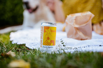 For Bitter For Worse - Eva's spritz cans nonalcoholic cocktail mocktail Dry January
