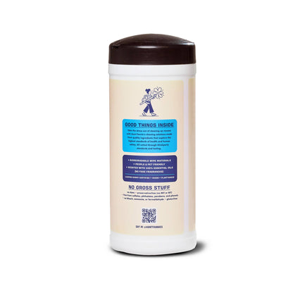Aunt Fannie's - Glass & Window Wipes