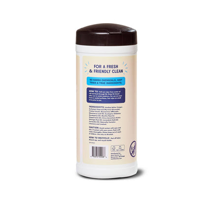 Aunt Fannie's - Glass & Window Wipes