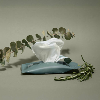 Noshinku - Eucalyptus Nourishing Hand Sanitizing Travel Wipes