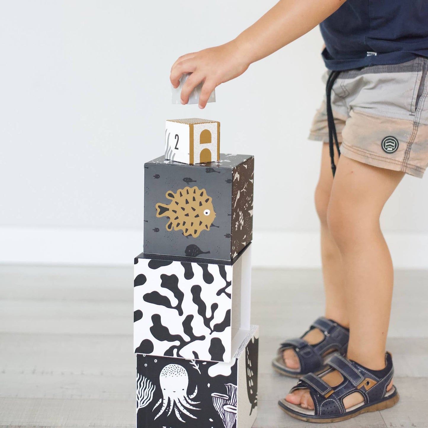 Wee Gallery - Nesting Blocks - Ocean Animals