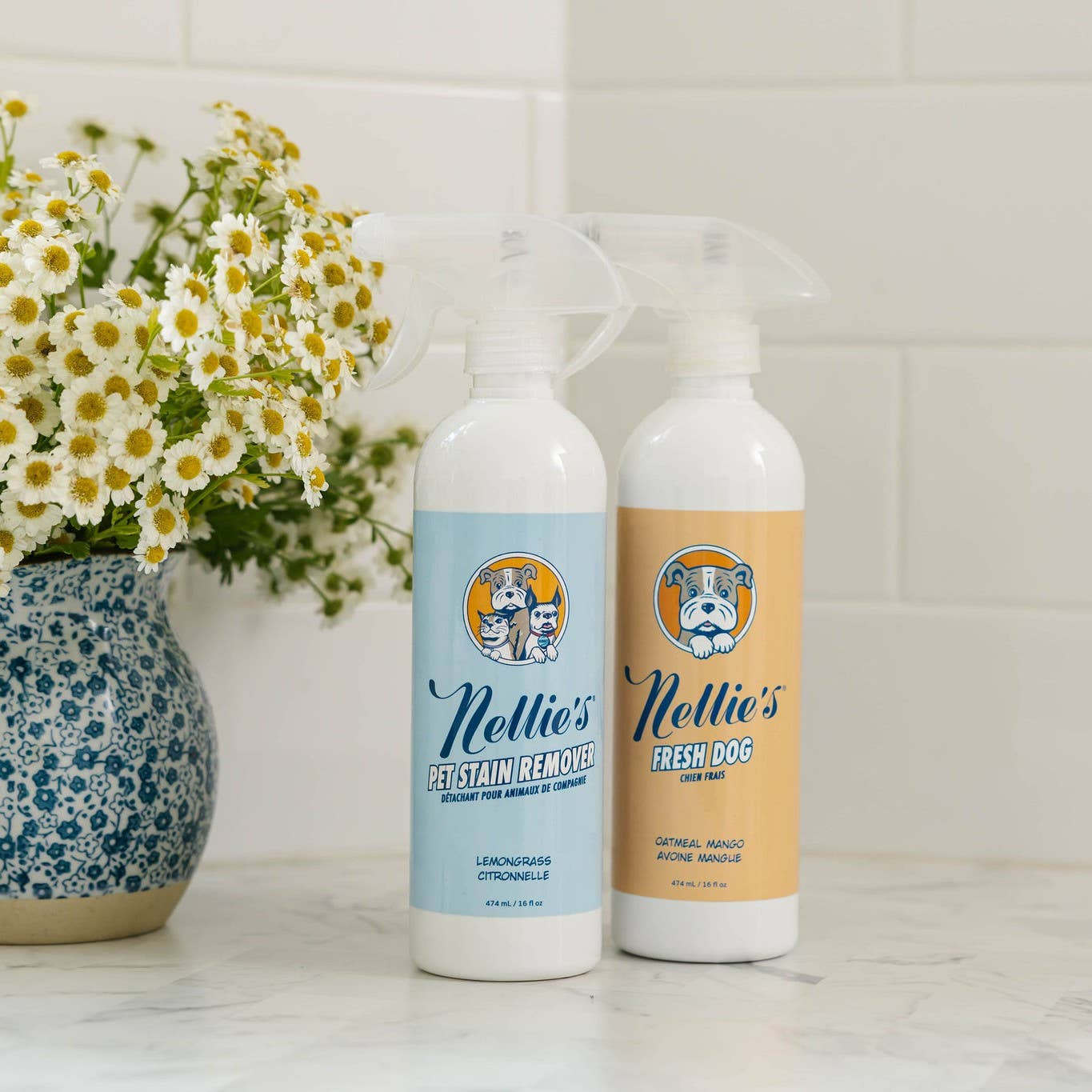 Pet Stain and Odour Remover