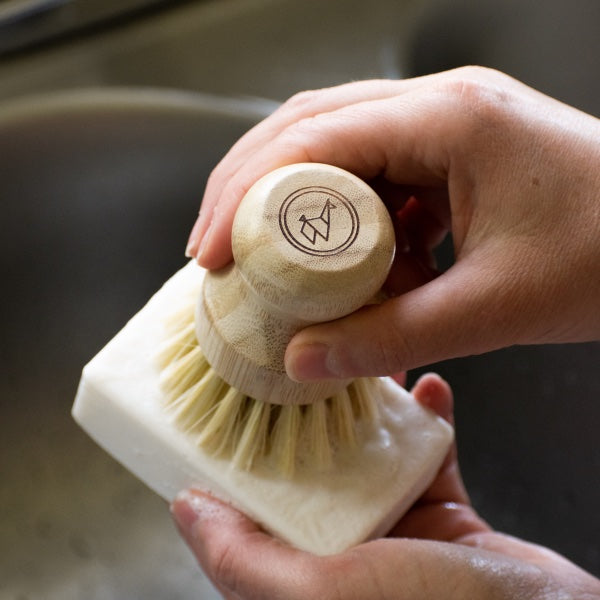 Eco-Friendly Dish Washing Starter Pack - Sparkling Clean & Green by Green Llama